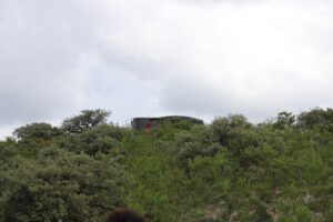 71 273 33168 238207078 WhatsApp Image 2021 07 07 at 11.10.00 AM 3