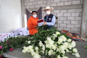 Impulsa Sedea la cadena de flor de corte en San Juan del Río