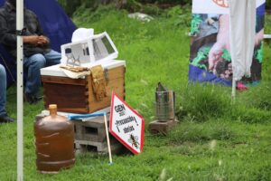 SEJUVE y SEDEA inician proyecto de apiarios comunitarios en cuatro municipios