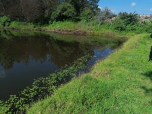 Localizan cuerpo flotando en bordo en Amealco