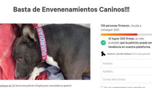 Exigen un alto a los envenenamientos caninos en Tequisquiapan