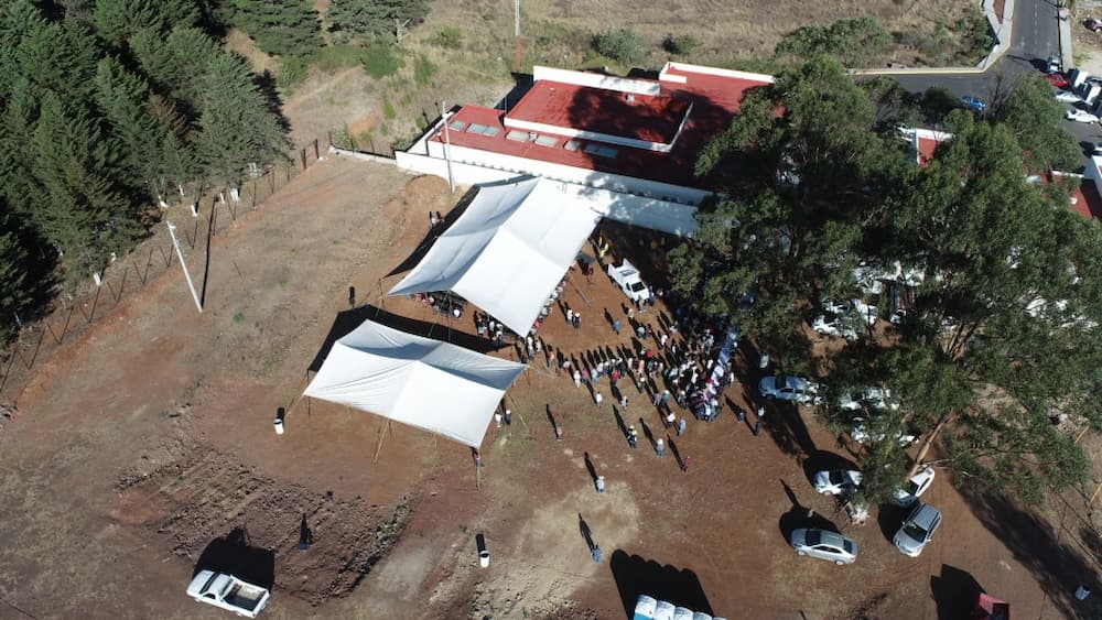 Entrega Sedea maíz en beneficio de 464 familias amealcenses