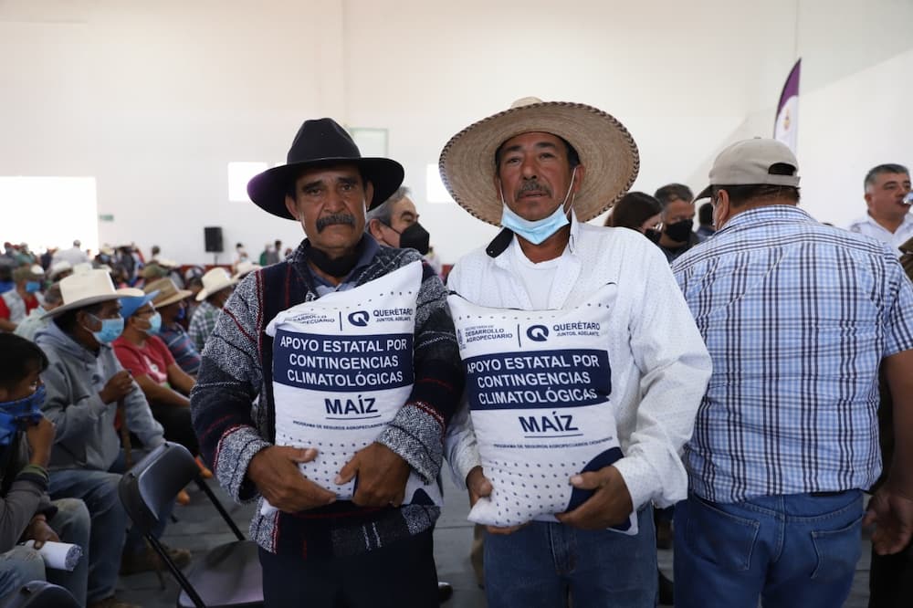Seguro Catastrófico beneficia a 12 mil 200 productores del campo en el estado de Querétaro