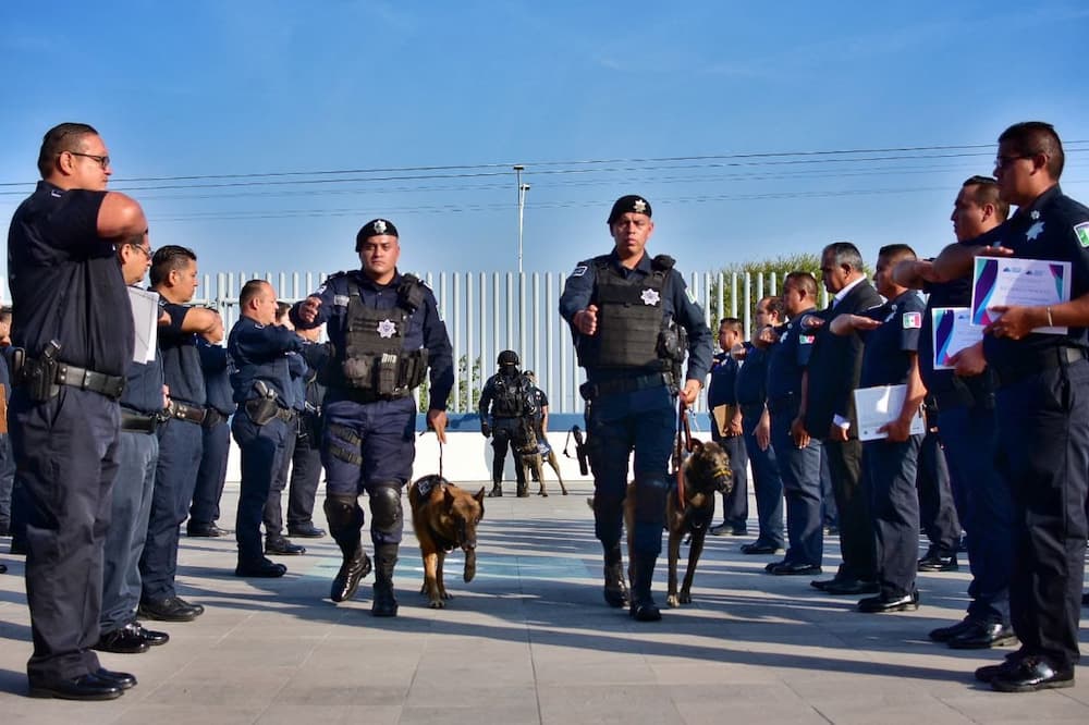 Elementos caninos de la SSPMC culminan labor de servir y proteger a la ciudadanía