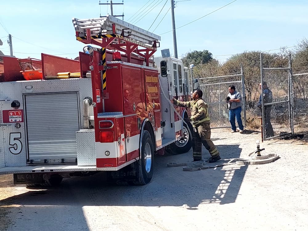 Mueren 9 perros calcinados en incendio ocurrido en Tequisquiapan