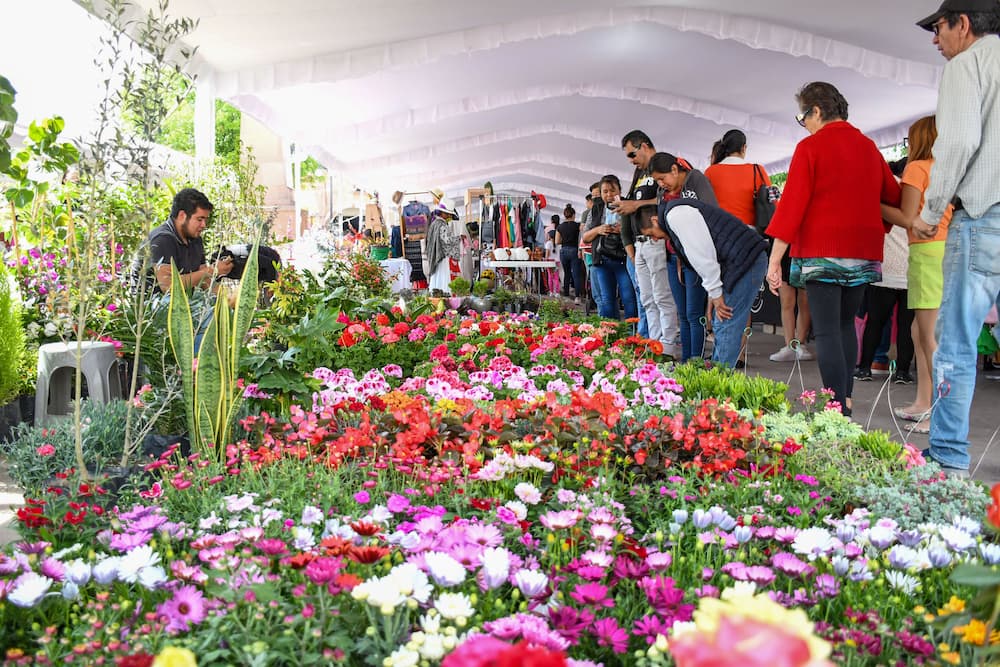 Inauguran primer día del Festival de las Flores Amealco 2023