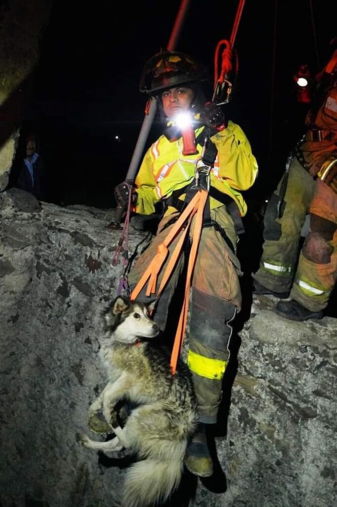 Rescatan a lomito del fondo de una noria de 12 metros de altura en El Rosario, SJR