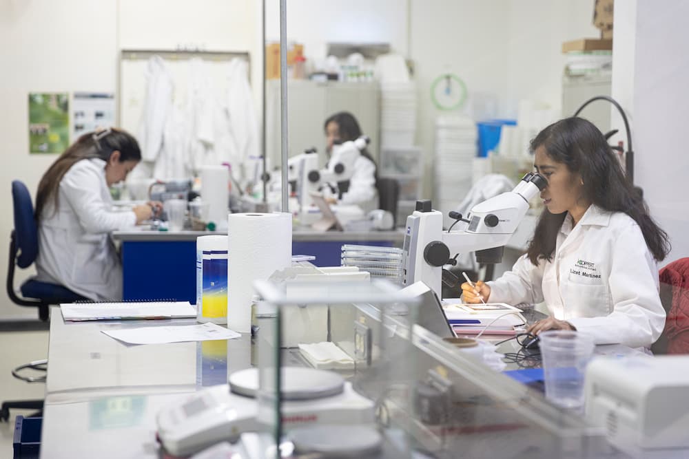 Fortalecen lazos Koppert México y Querétaro