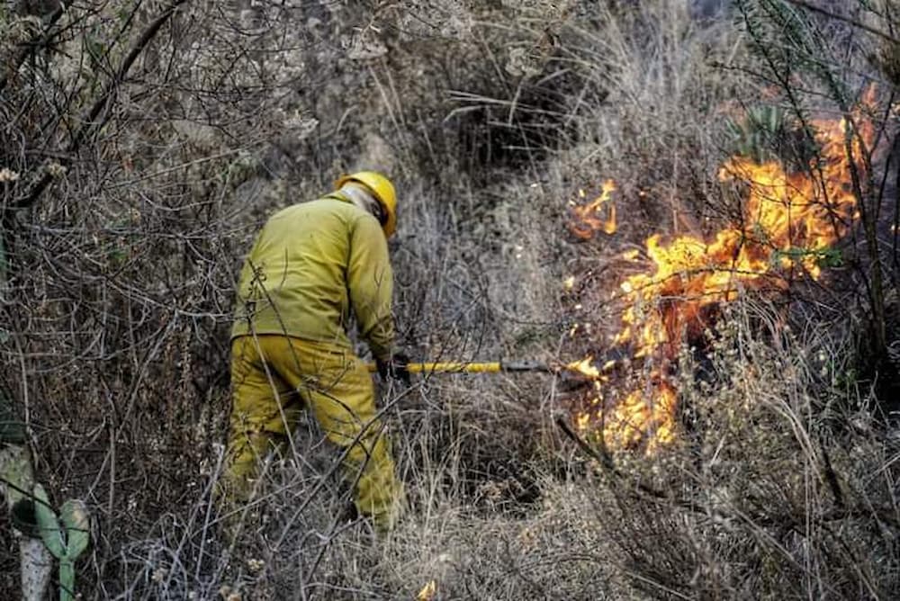 Incendio Forestal San Sebastián de las Barrancas