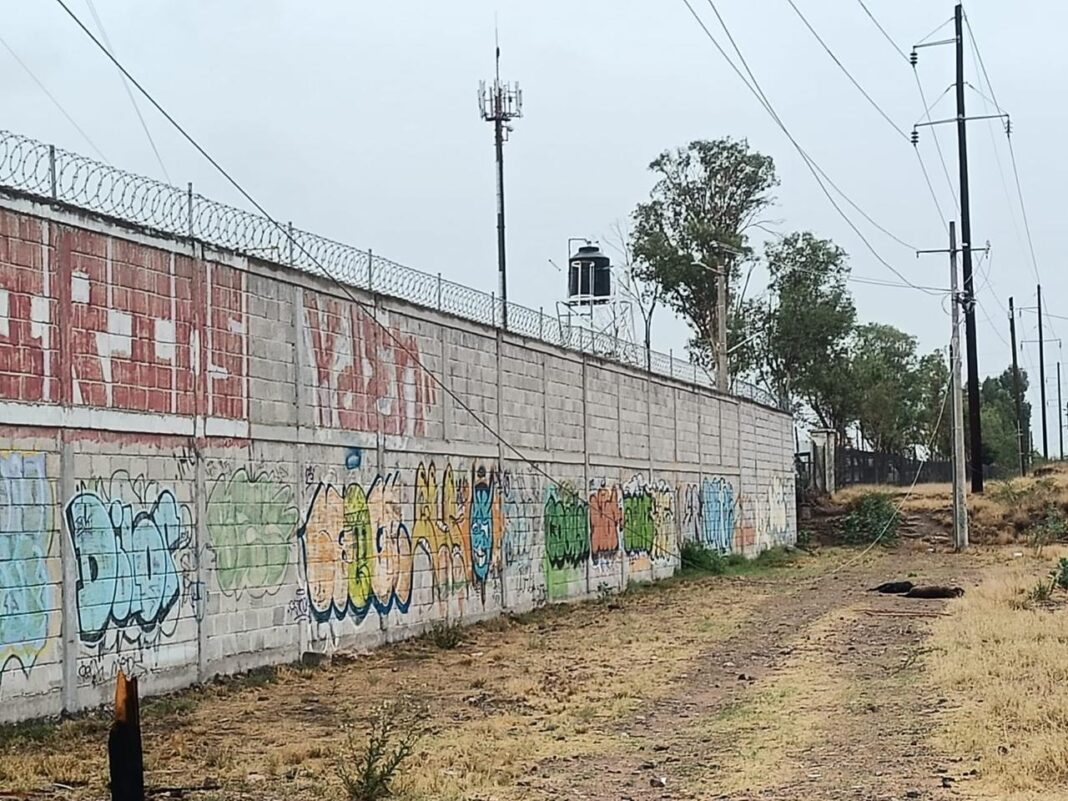 Dos perritos callejeros mueren electrocutados por cables colgantes en San Juan del Río