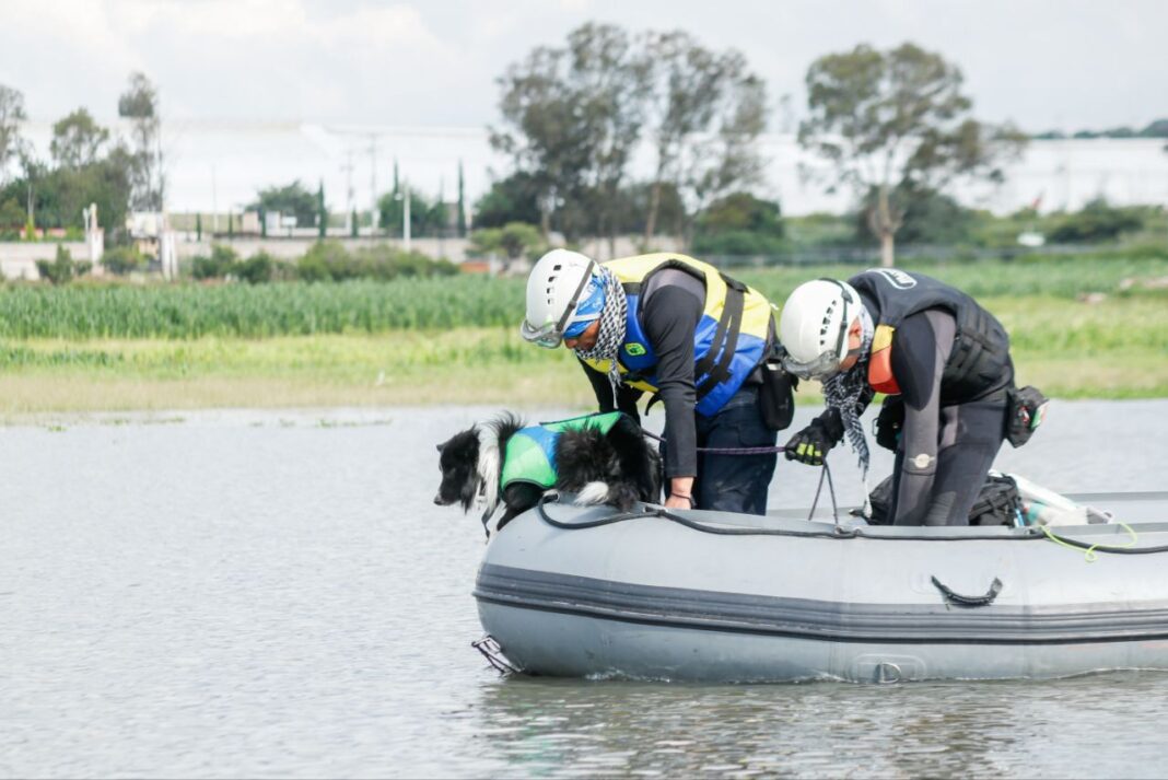 Continúan esfuerzos de búsqueda de joven que ingresó a cuerpo de agua en El Rosario: PC Municipal