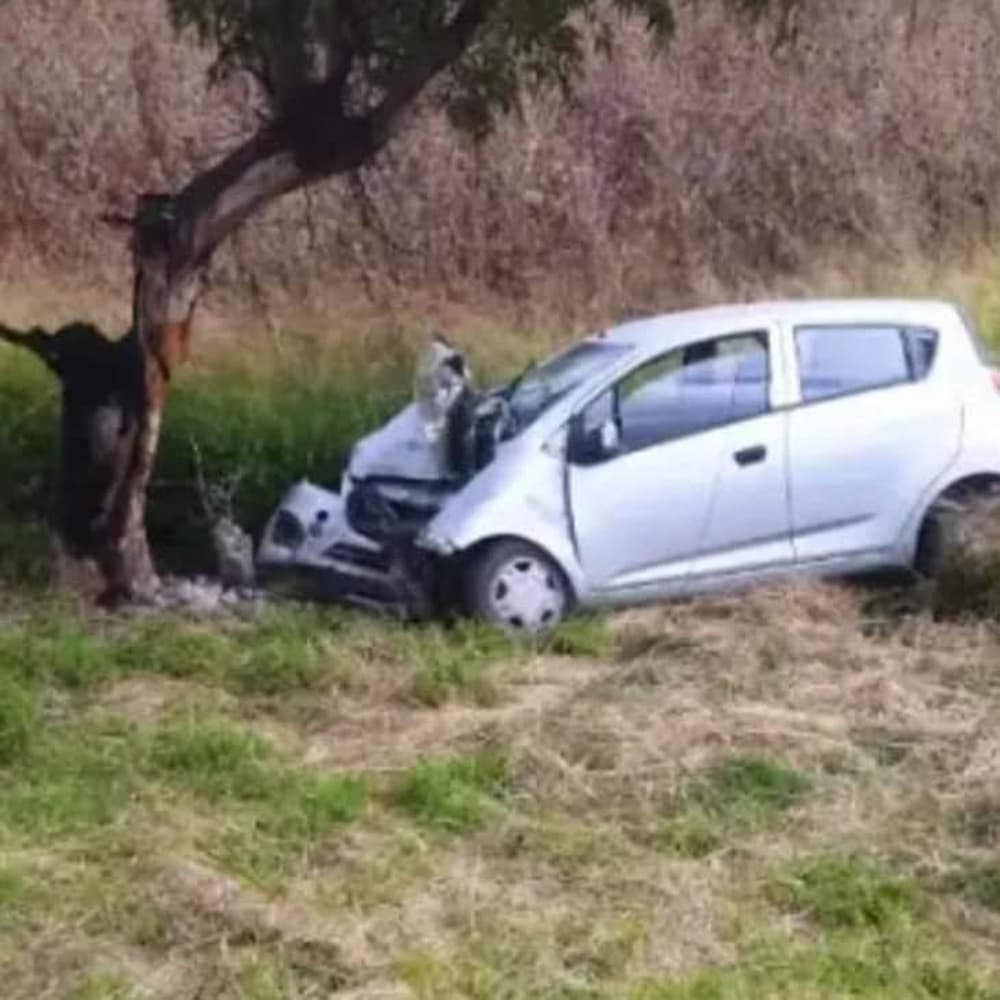 Joven de 23 años pierde la vida tras chocar contra un árbol en la autopista 57 a la altura de Pedro Escobedo