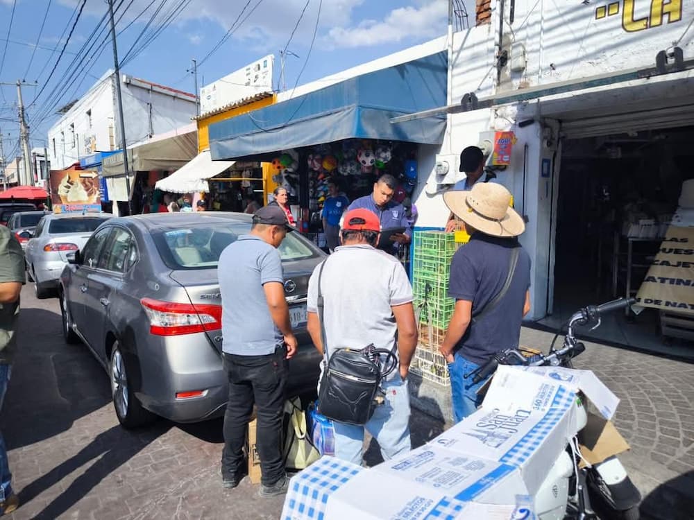 Autoridades desmantelan red de tráfico ilegal de aves en San Juan del Río