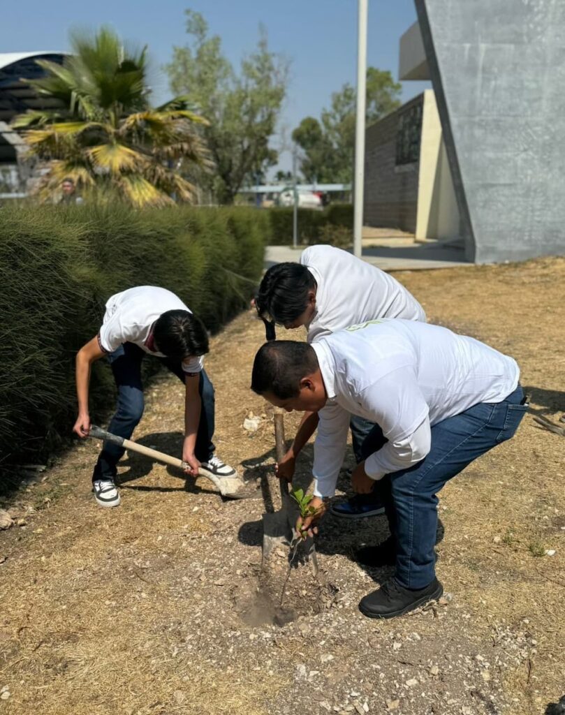 Inicia CEA reforestación por migración de recibos
