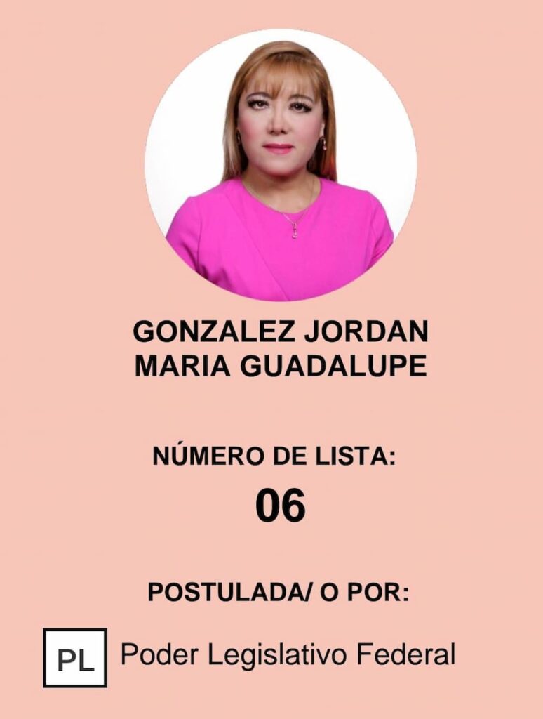Conoce las candidaturas a magistrados y magistradas de la Sala Regional del TEPJF para Queretaro Cuarta Entrega 5