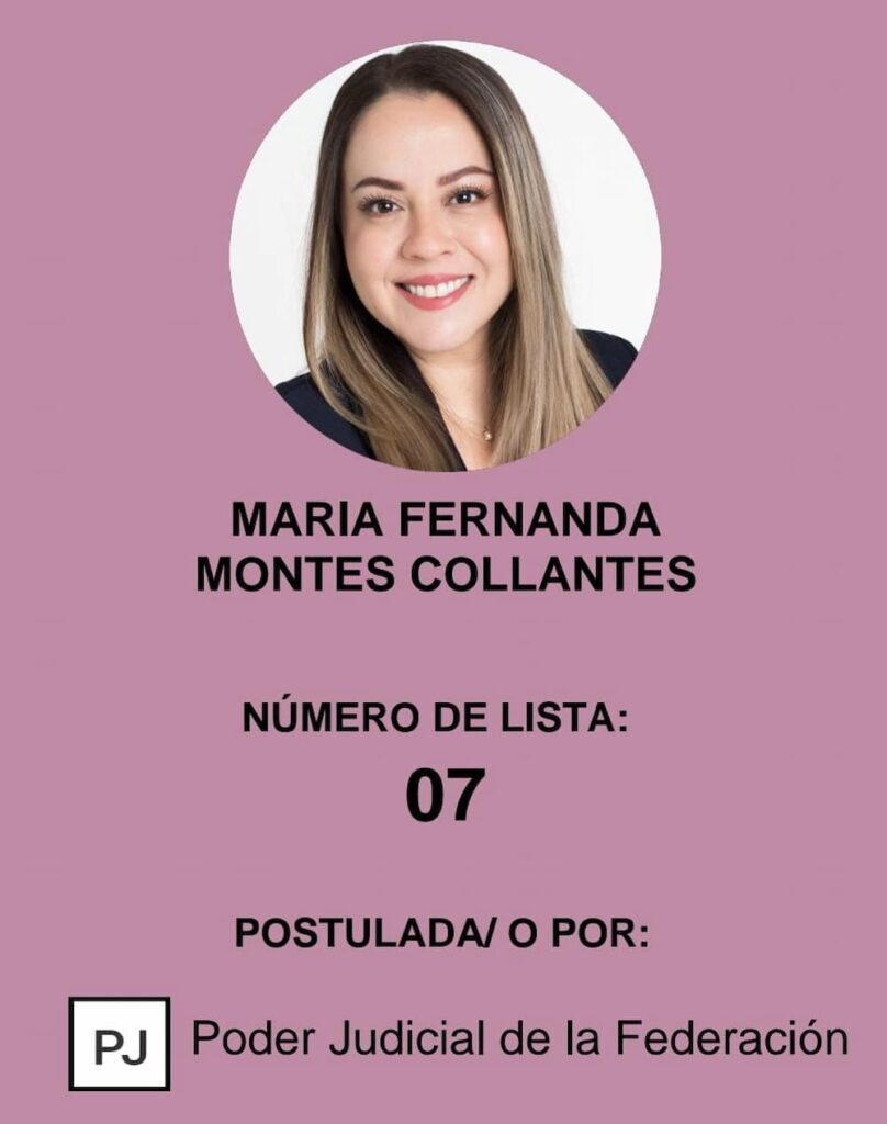Conoce las candidaturas a magistrados y magistradas de tribunales de circuito para Querétaro: Sexta Entrega 1 Conoce las candidaturas a magistrados y magistradas de tribunales de circuito para Queretaro Sexta Entrega 3 scaled