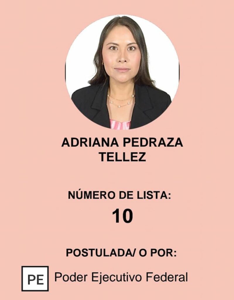 Conoce las candidaturas a magistrados y magistradas para la Sala Regional del TEPJF para Querétaro: Primera Entrega 1 Conoce las candidaturas a magistrados y magistradas para el TEPJF para Queretaro Primera Entrega 3