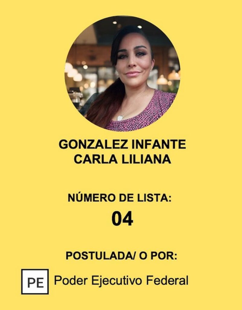 Conoce las candidaturas de juezas y jueces del Poder Judicial para Querétaro: Segunda Entrega 4 Conoce las candidaturas de juezas y jueces del Poder Judicial para Queretaro Segunda Entrega 2