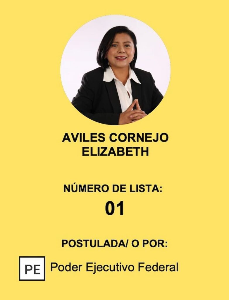 Conoce las candidaturas de juezas y jueces del Poder Judicial para Querétaro: Tercera Entrega 2 Conoce las candidaturas de juezas y jueces del Poder Judicial para Queretaro Tercera Entrega 4