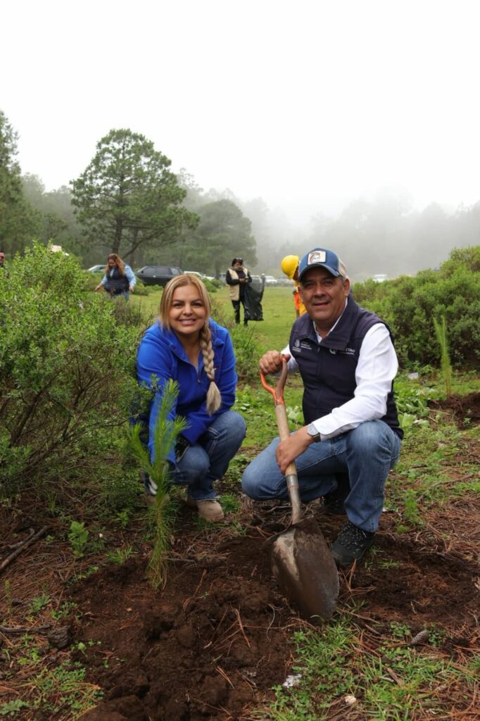 Destina SEDEA 55 mil árboles para Pinal de Amoles