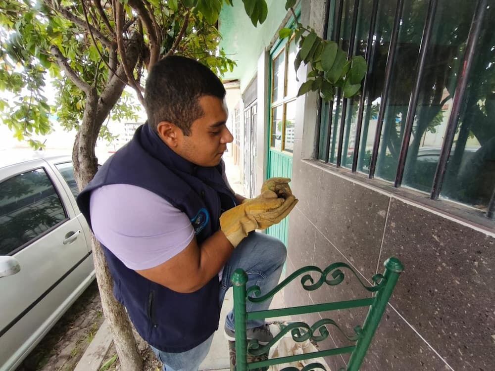 Atención a reporte ciudadano: Murciélago localizado y liberado en zona segura