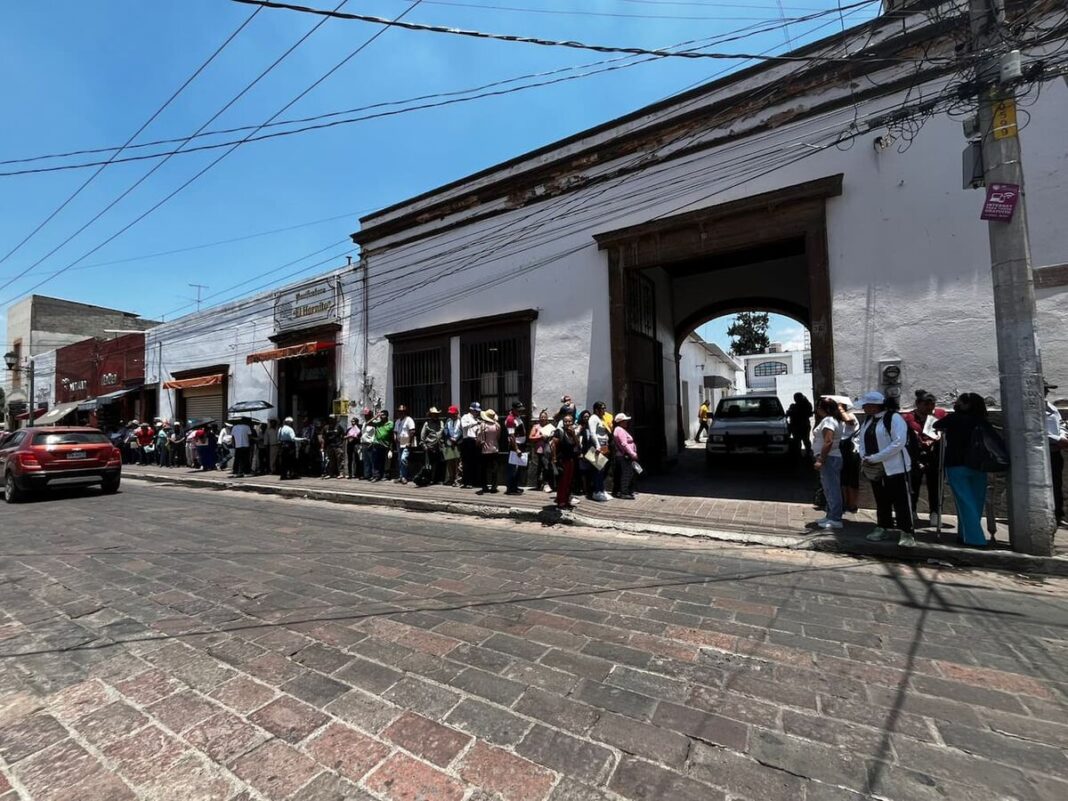 Este martes cierra convocatoria del programa Fertilizantes para el Bienestar para nuevos productores