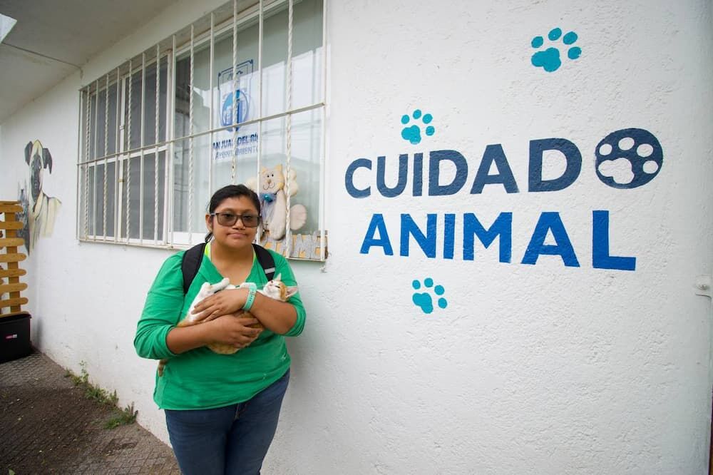 Más de 2 mil esterilizaciones gratuitas de caninos y felinos aplicadas por la Dirección de Cuidado Animal de SJR
