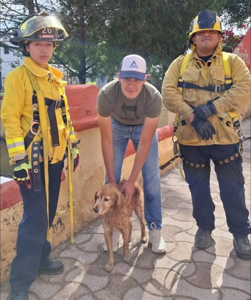 Rescatan a canino atrapado en una fuente en Pueblo Nuevo, Cadereyta