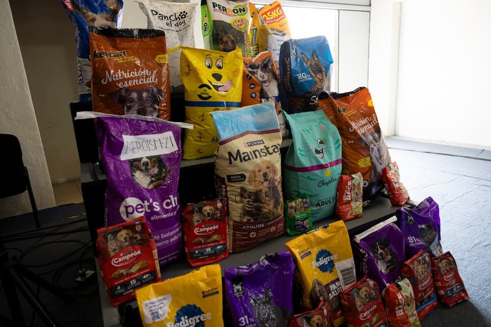 Arranca Croquetón Escolar 2025, un trabajo conjunto por el bienestar animal