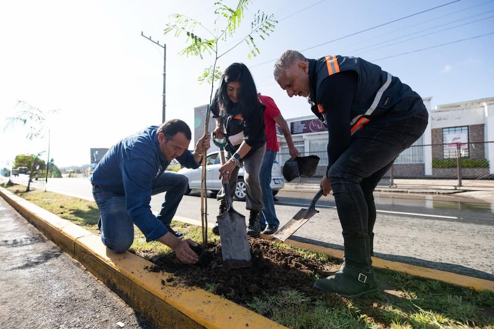 Más de 48 mil árboles plantados en cuatro años, destaca alcalde de SJR