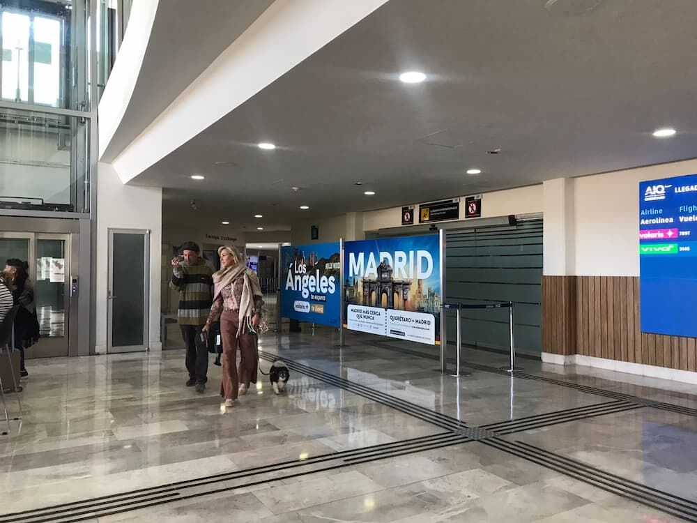 AIQ se prepara para la temporada alta