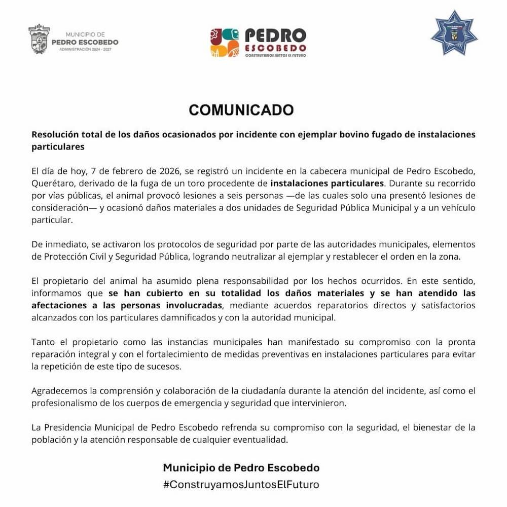 Autoridades confirman reparación total tras incidente con toro en Pedro Escobedo