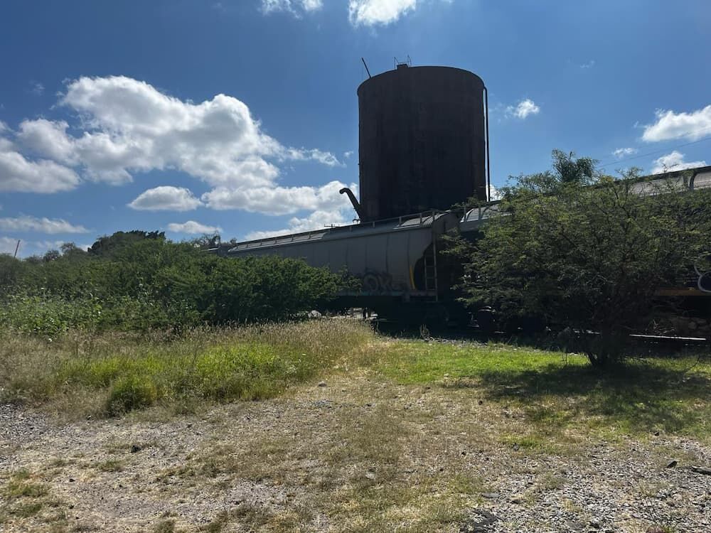 Hasta 70 personas podrían ser reubicadas de “Cartolandia” en San Juan del Río por tratarse de reserva federal