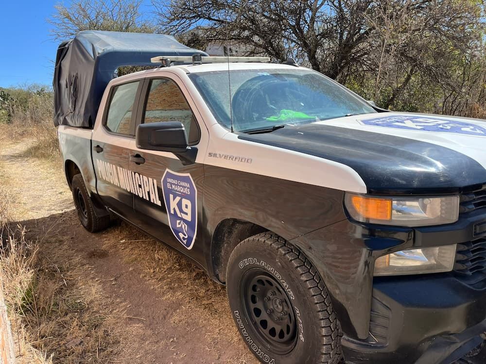 Localizan restos óseos en predio de Solares Banthí; Fiscalía realiza diligencia en San Juan del Río