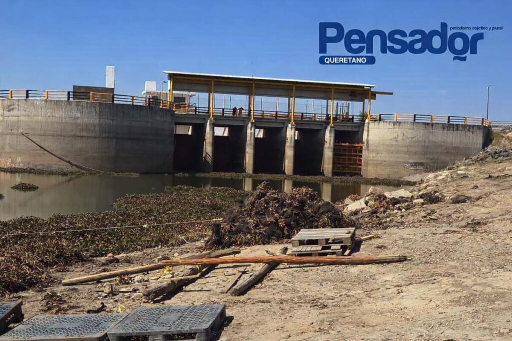 Presa Constitución de 1917, cubierta hasta en 80 % por lirio acuático; piden apoyo federal urgente