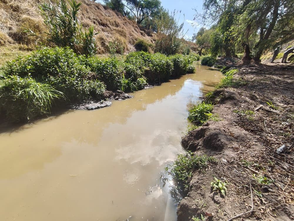 Conagua retira más de 300 llantas del río Pueblito durante jornada de limpieza, en Corregidora