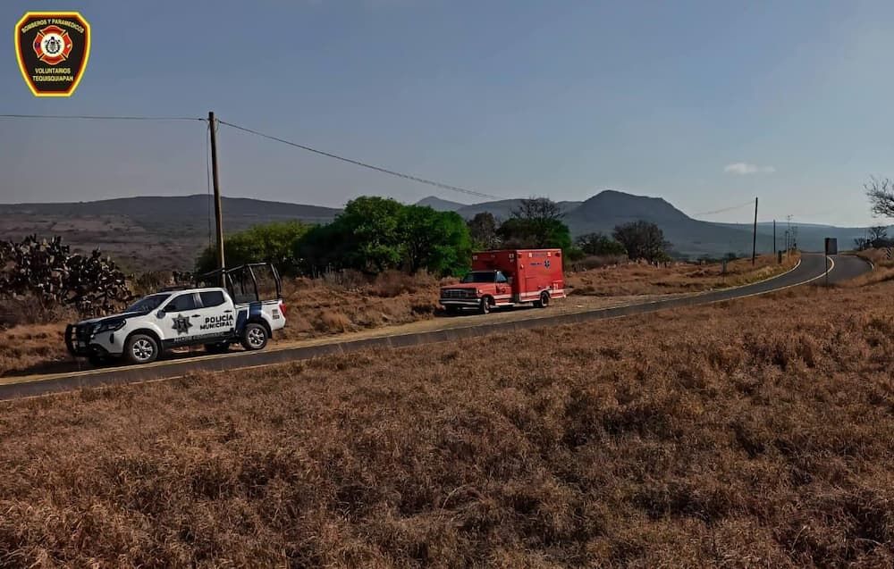 Refuerzan búsqueda de personas en zona serrana con apoyo de binomios caninos
