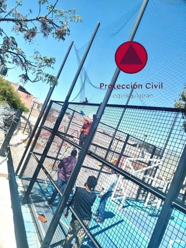 Rescatan a cacomixtle atrapado en red en Bordo Blanco, Tequisquiapan