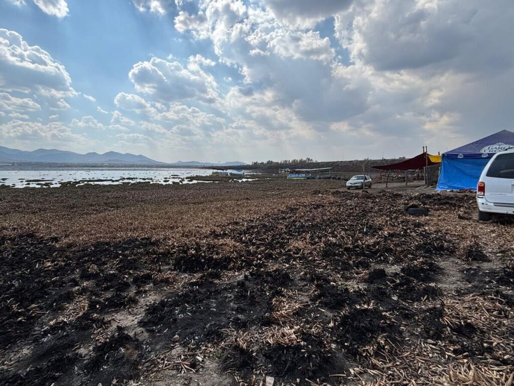 A contracorriente del lirio, familias de San Juan del Río luchan por sembrar y subsistir