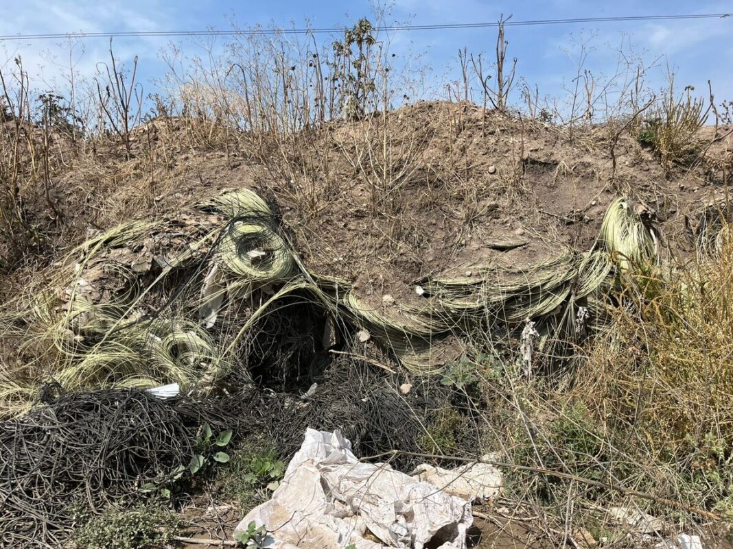 Detectan y clausuran tiradero clandestino en San Juan del Río
