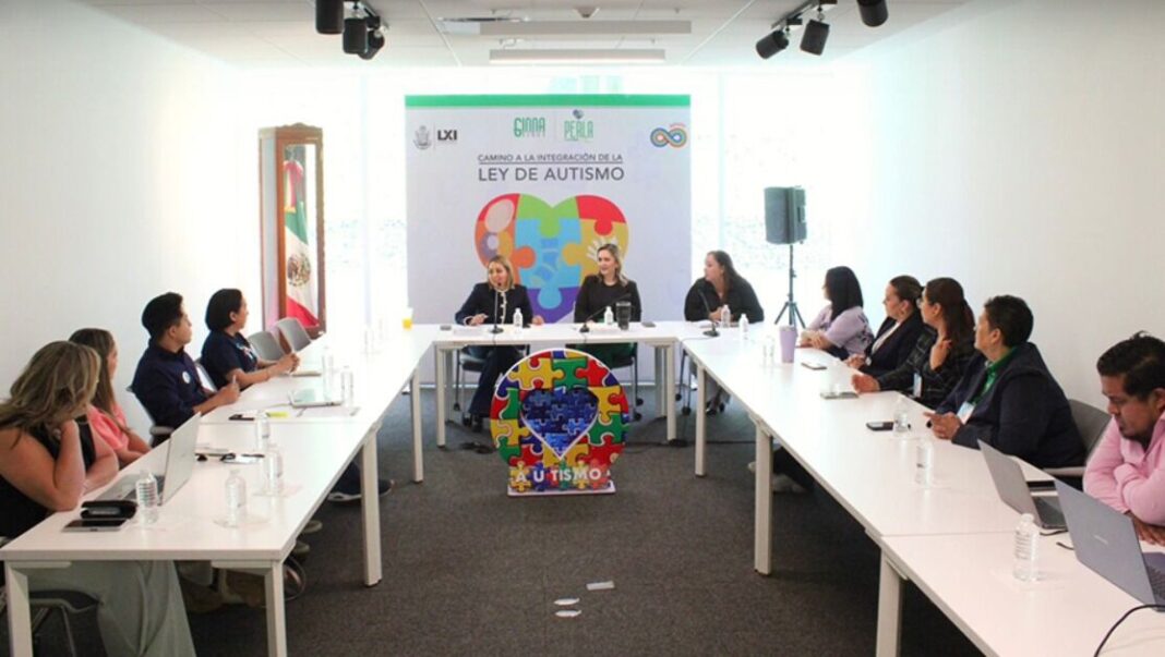 Fortalecen construcción de la Ley de Autismo con participación de la sociedad civil