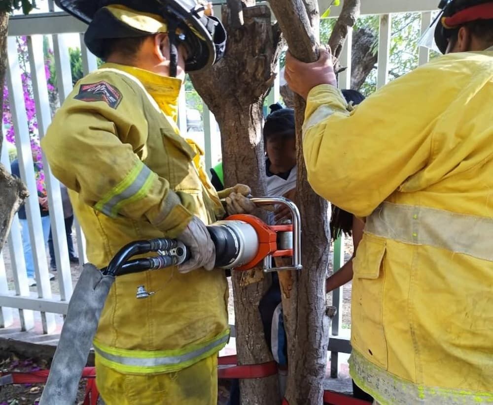 Rescatan a niña atrapada en un árbol en primaria de Pedro Escobedo
