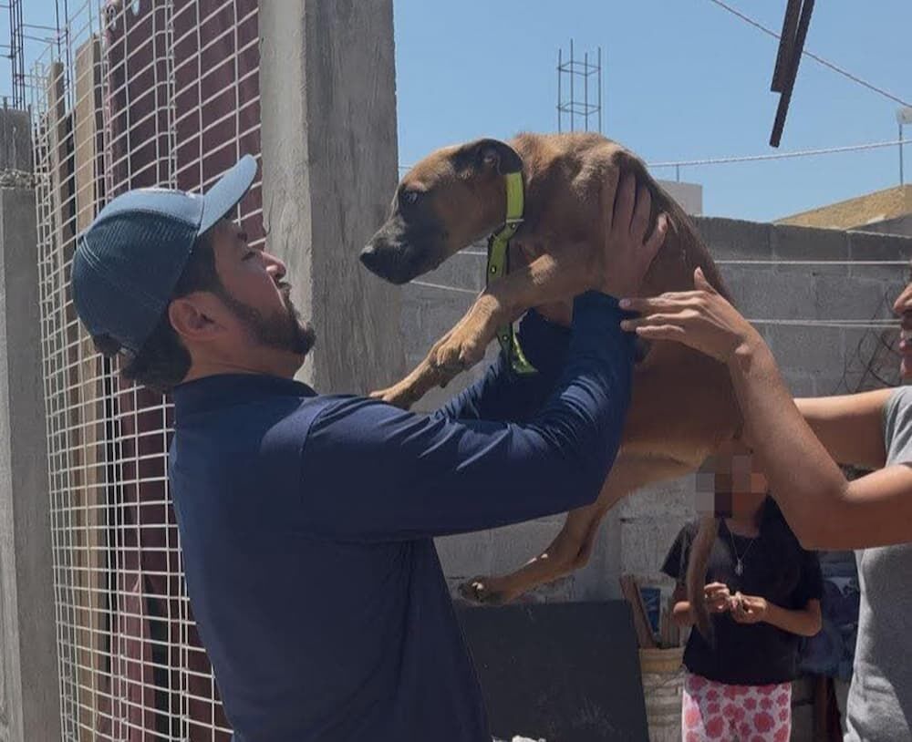 Atienden reporte de maltrato animal y rescatan a dos perros en La Estancia