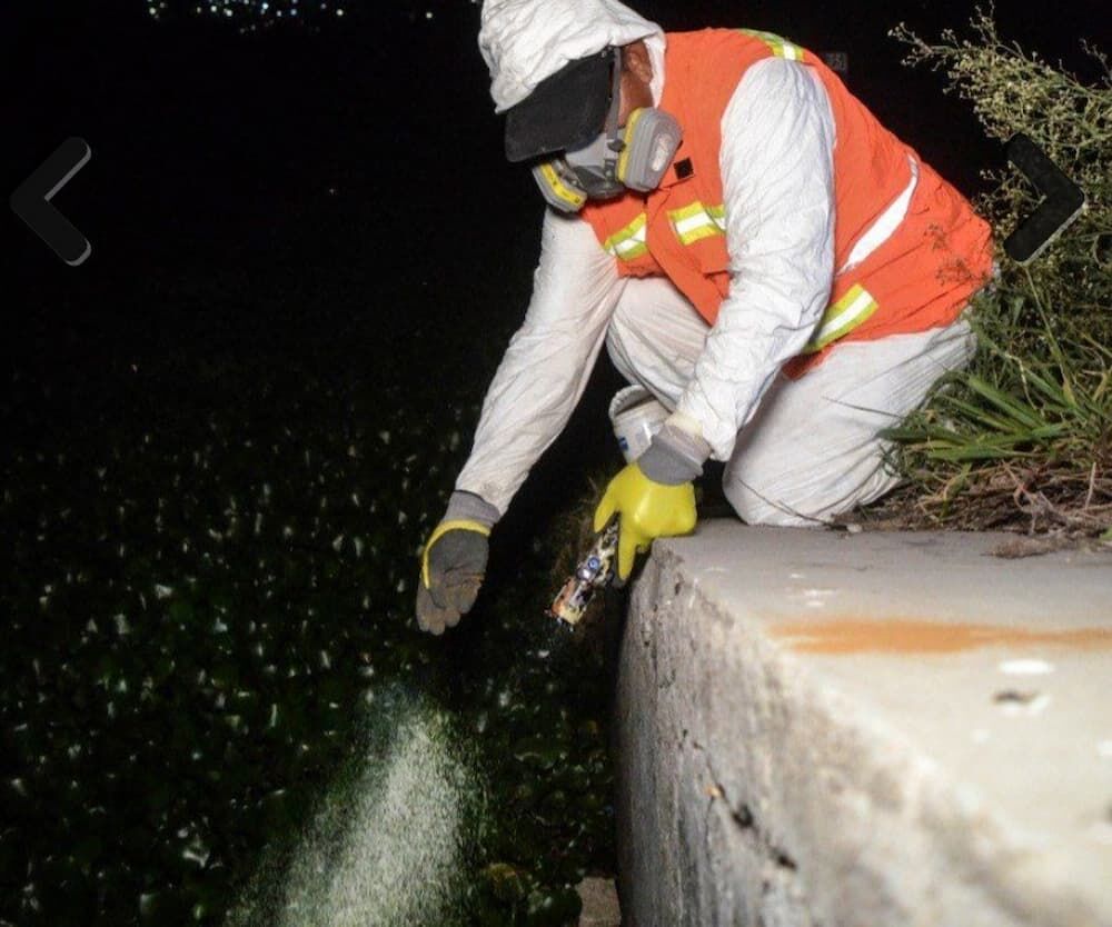 Mantienen fumigaciones en el Querétaro 2000 por presencia de mosquitos en la trotapista Mantienen fumigaciones en el Querétaro 2000 por presencia de mosquitos en la trotapista