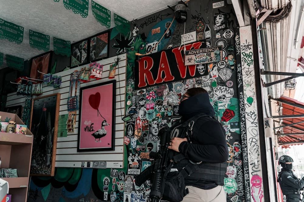 Realizan 12 cateos en establecimientos tipo “smoke shop” por delitos contra la salud