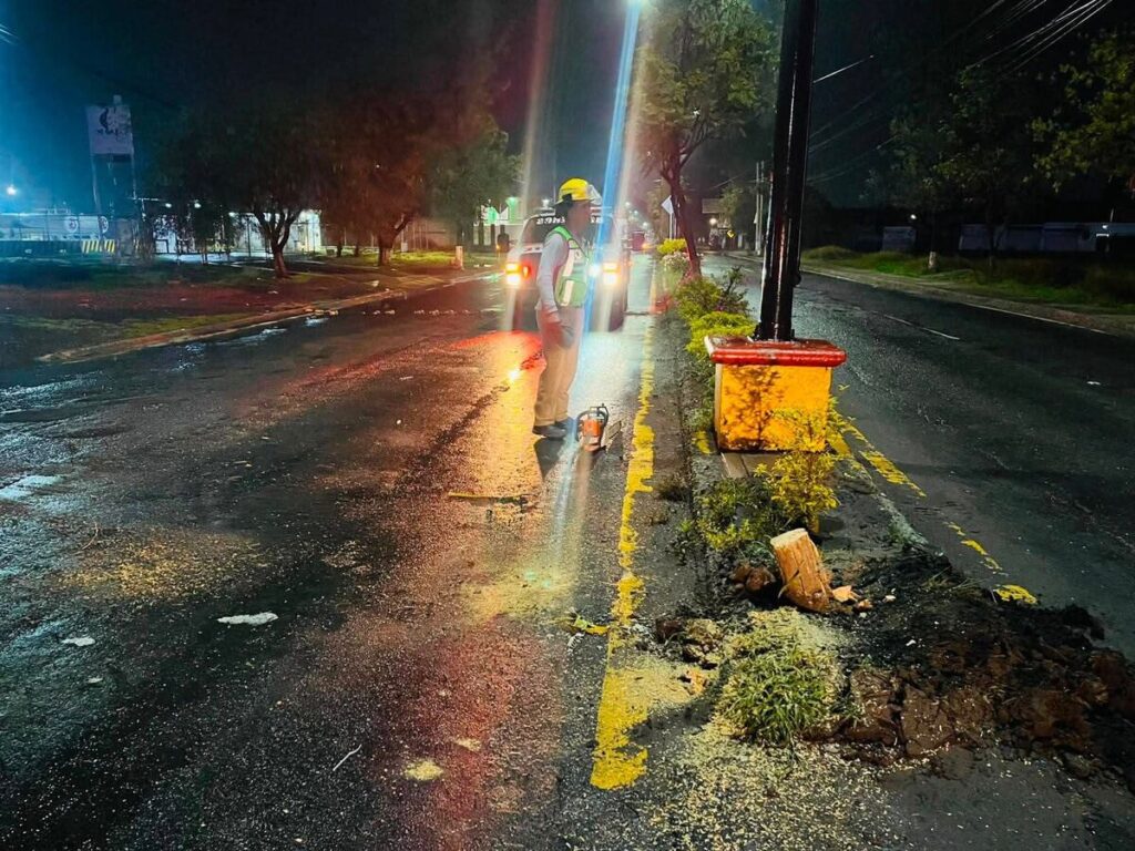 Camión de carga derriba árbol en carretera a La Lira; el conductor se da a la fuga 2 Camión de carga derriba árbol en carretera a La Lira; el conductor se da a la fuga