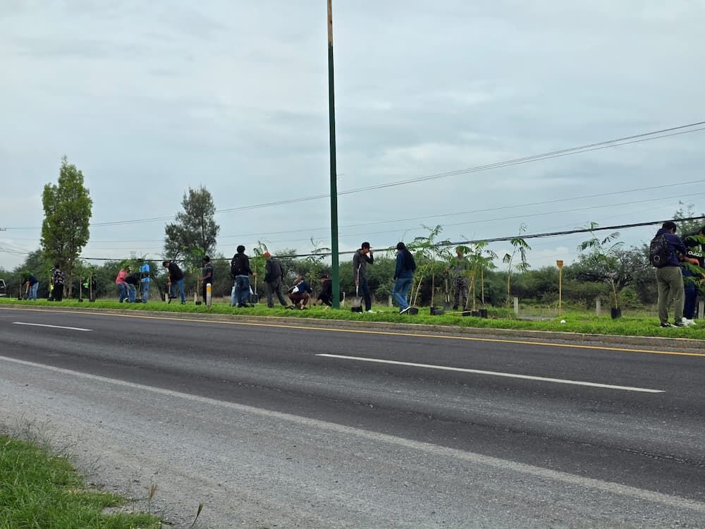 Ciudadanía, empresas y gobierno municipal reforestan camellón frente al Centro Expositor 1 Ciudadanía, empresas y gobierno municipal reforestan camellón frente al Centro Expositor