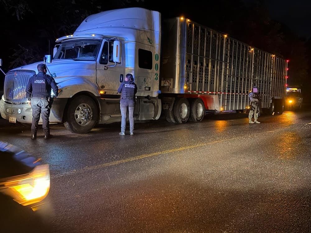 Detienen a dos personas por abigeato equiparado en SJR Detienen a dos personas por abigeato equiparado en SJR