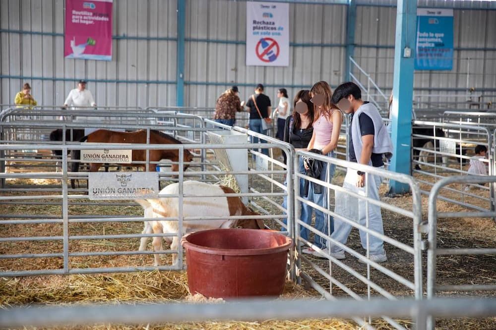 Exitoso primer día de acceso gratuito al Centro Expositor de Feria Exitoso primer día de acceso gratuito al Centro Expositor de Feria