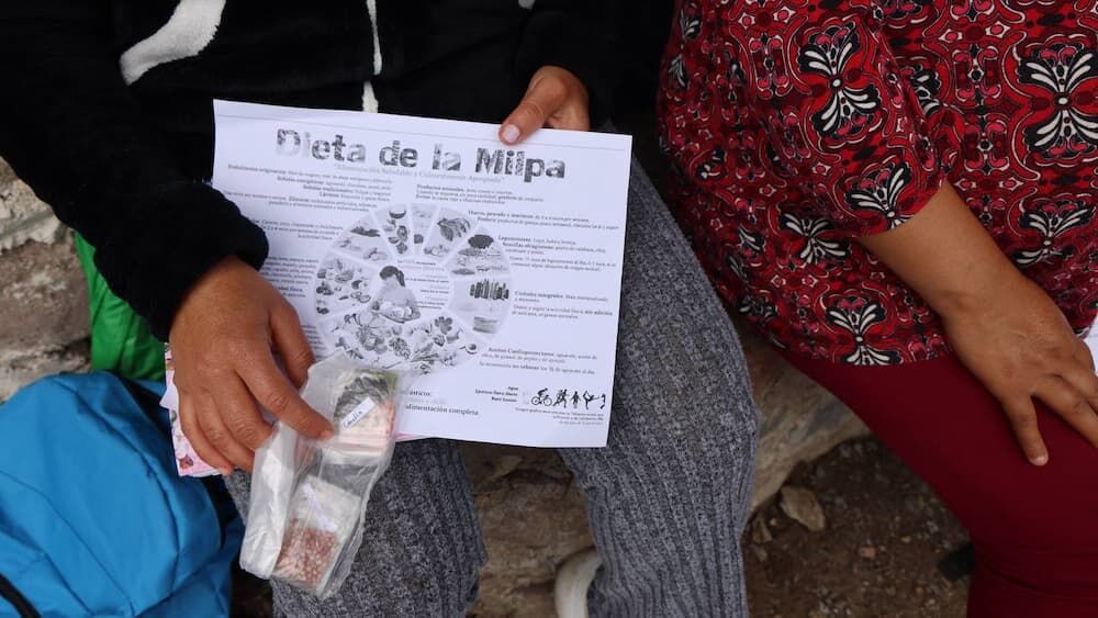 Impulsa SEDIF el desarrollo social de las comunidades más vulnerables Impulsa SEDIF el desarrollo social de las comunidades más vulnerables